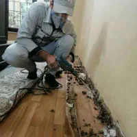 سم پاشی موریانه با قرص سم آلمانی سمپاشی ساس سوسک