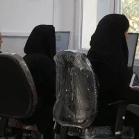 انجام پایاننامه هنر،پروژهها شاخه هنر کل رشتهها