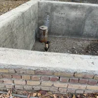 سگ سراب|سگ|قزوین, |دیوار