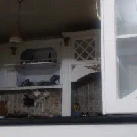 آشپز کباب پز و خورشت پز ایرانی هستم