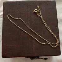 گمشده یه زنجیر و تو گردنی نقره چند ماه پیش