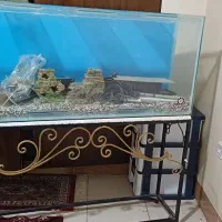 آکواریوم بزرگ