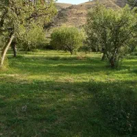 باغ در روستای هندوار روبروی چشمه اب