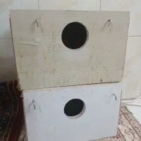 لونه عروس هلندی