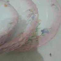 سرویس آرکوپال پلوخوری خورشت خوری و میوه خوری|ظروف سرو و پذیرایی|تاکستان, |دیوار