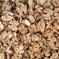 مغز گردو تازه