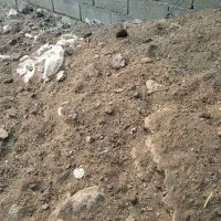 کود