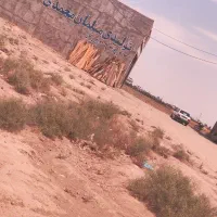 فروش زمین ۲۲۰ متری در شهر قائم