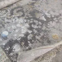 دو عدد فرش ۹متری وینتیج|فرش|کوهدشت, |دیوار