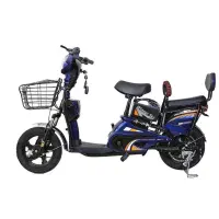 دوچرخه برقی وینر اسکای Winnersky|دوچرخه، اسکیت، اسکوتر|شیراز, ملاصدرا|دیوار