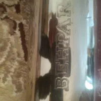 اگزوزه کفش نیست