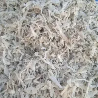 تفاله چغندر|لوازم جانبی حیوانات|خلخال, |دیوار