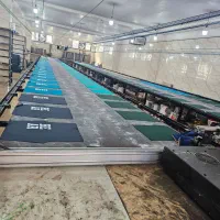 شابلون زن نیازمندیم