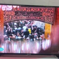 تلویزیون 49 هایسنس