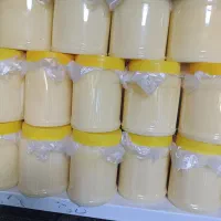 روغن حیوانی اصل کردستان|عمده‌فروشی|قم, طلاب غیر ایرانی|دیوار