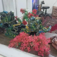 اکواریوم