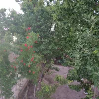 باغ ویلا زردنجان|فروش خانه و ویلا|اصفهان, پینارت|دیوار