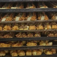 نیروی آقا و خانم در کارگاه قنادی