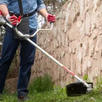 خدمات علف تراشی،باغبانی وکار فضای سبز بهشهر وحومه