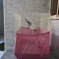 قفس کاسکویی  با تمام وسایل