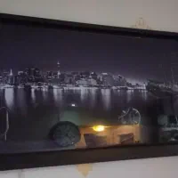 تابلو شب نما