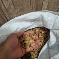 باقالی خشک