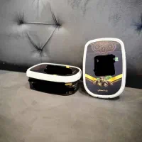 ظروف بسته بندی خرما iml|عمده‌فروشی|بم, |دیوار