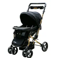 کالاسکه دست دوم مدل دلیجان