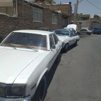 شولت نوا