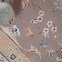 قالی ۳ در ۴ دو عدد گردویی|فرش|کاشمر, |دیوار