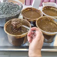 بنه پسته کوهی