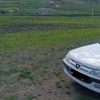 زمین زراعی برجاده آسفالت