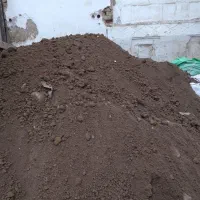 بهترین خاک برای گل و گیاه مجانی