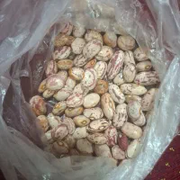 لوبیا چیتی کیلویی ۳۰۰تومن|خوردنی و آشامیدنی|آستارا, |دیوار