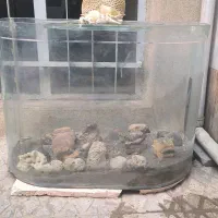 آکواریوم