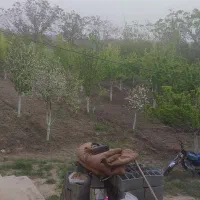 باغ مشهد جاده کلات