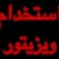 استخدام ویزیتور