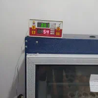 دستگاه جوجه کشی بلدرچین دماوند|لوازم جانبی حیوانات|فردوس (خراسان), |دیوار