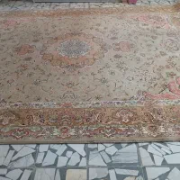 فرش ۱۲متری|فرش|بابل, |دیوار