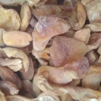 فروش برگ درجه یک