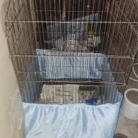 قفس بزرگ|لوازم جانبی حیوانات|رباط‌کریم, مسکن مهر آبشناسان|دیوار