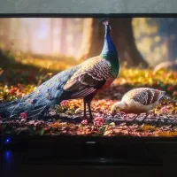 تلویزیون ال ای دی سامسونگ ۴۰اینچ