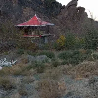 اجرای سقف سبک، آلاچیق ،سوله،پارکینگ