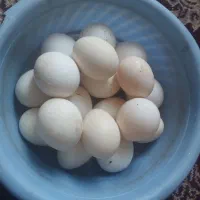 برنامه دیوار