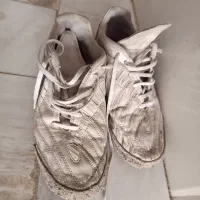 کفش سالنی سایز ۴۲|کیف، کفش، کمربند|قم, حقیقت|دیوار