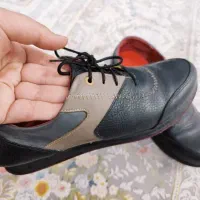 کفش زنانه|کیف، کفش، کمربند|قم, تعویض پلاک|دیوار