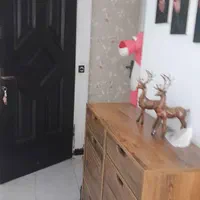 فروش آپارتمان ۶۰ متری ۱ خوابه طبقه ۲ در حیدرآباد|فروش آپارتمان|کرج, حیدرآباد|دیوار