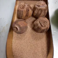 بذرگوجه ای درجه۱