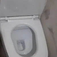 توالت فرنگی