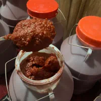 رب درجه یک خانگی. سفت و خوش رنگ